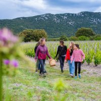 Fascinant Week-End 2024 - Illustration - Grand Pic Saint-Loup Tourisme 1