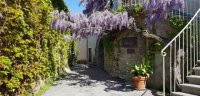 Chateaux Lascaux - Vacquiere - Grand Pic Saint-Loup