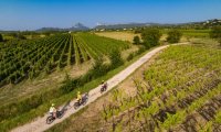 Expériences épicuriennes autour de nos vignobles