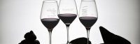 Verres des appellations AOP en studio 2