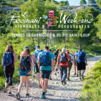 Fascinant Week-End 2024 - 900px - Office de Tourisme du Grand Pic Saint-Loup - Vignobles & Découverte 4