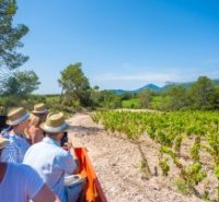 Le Fascinant Week-End "Vignobles & Découvertes" 