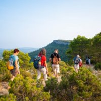 Tout l'agenda - Rando en Pic Saint-Loup