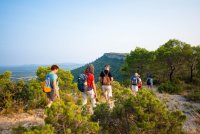 Tout l'agenda - Rando en Pic Saint-Loup