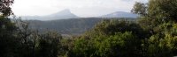 Sentier des Charbonniére - Randonnée Grand Pic Saint-Loup 3