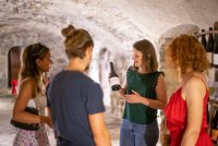 Chateaux Lascaux - Degustation - Cave - Vacquières 02