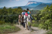 Horse aventure © REGIS DOMERGUE