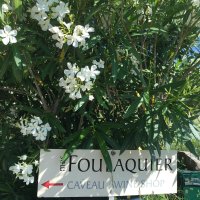 IMG_8974 © Bienvenue au Mas FOULAQUIER!