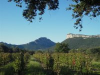 Vignes en paysages0001 ©Gilles Delerue - ADT34 ©Gilles Delerue - ADT34